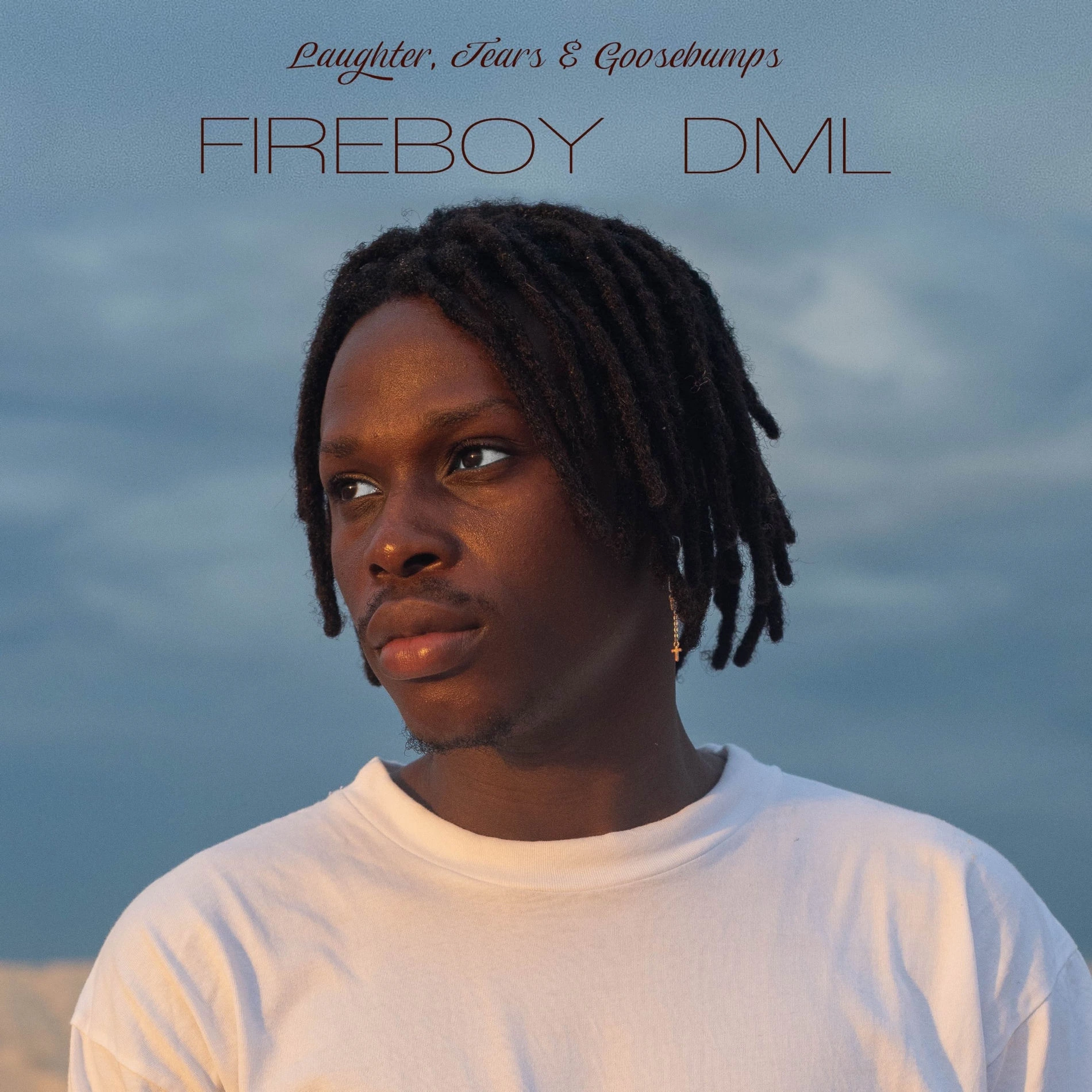 Laughter, Tears & Goosebumps album cover